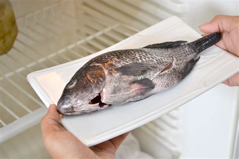 dethaw fish|How to Thaw Fish from Frozen (The BEST Defrost .